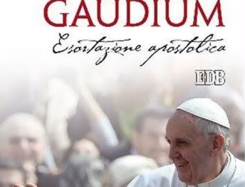 LA ALEGRÍA DEL EVANGELIO 2: LA IGLESIA EN SALIDA MISIONERA