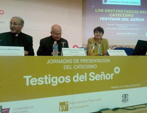 ANA Gª-MINA “EL CATECISMO TESTIGOS DEL SEÑOR ME HA PERMITIDO HACER UN DISCERNIMIENTO DE MI PROPIA VIDA DE FE”
