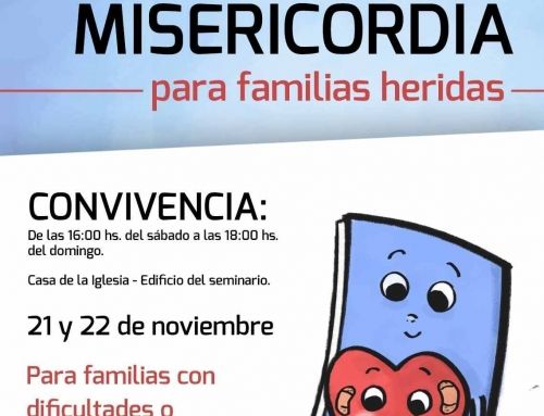 convivencia sed 2015/2016