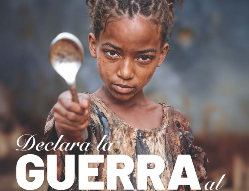 «Declara la guerra al hambre». Carta del obispo con motivo de la campaña de Manos Unidas 2026