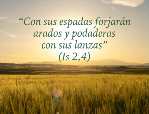 1 de septiembre, Jornada Mundial de Oración por el Cuidado de la Creación