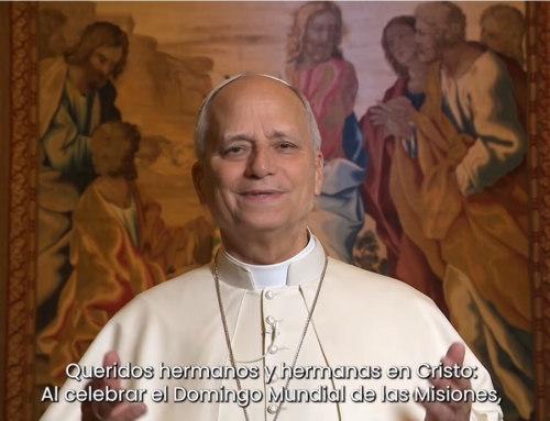 El Papa recuerda cómo el Domund ha dado frutos en su propia vida